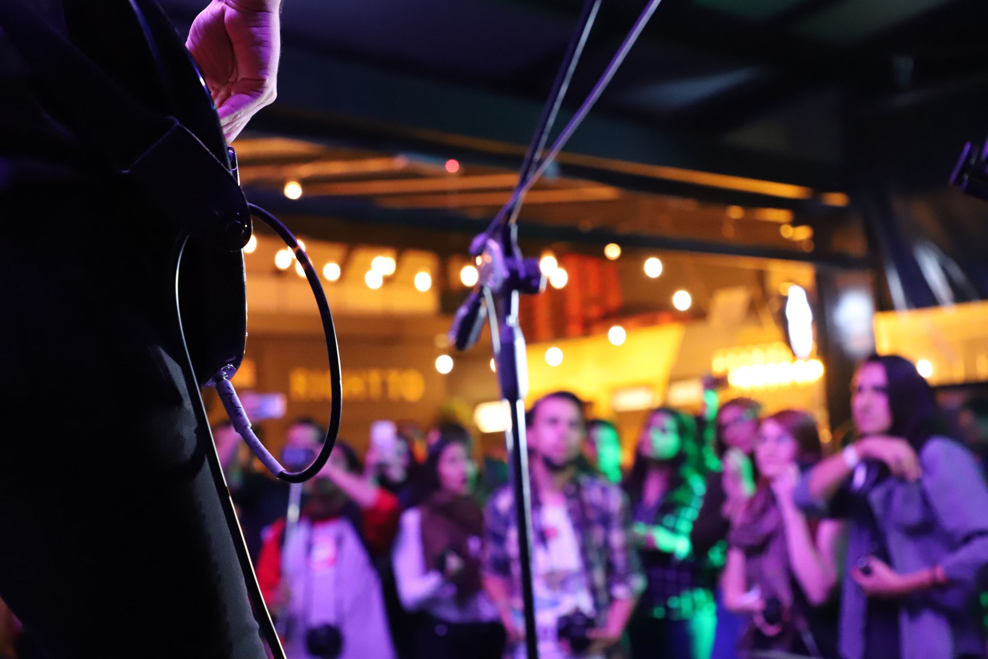 Jam Session à Dijon : une soirée conviviale et musicale au bar Le Terrier à Dijon